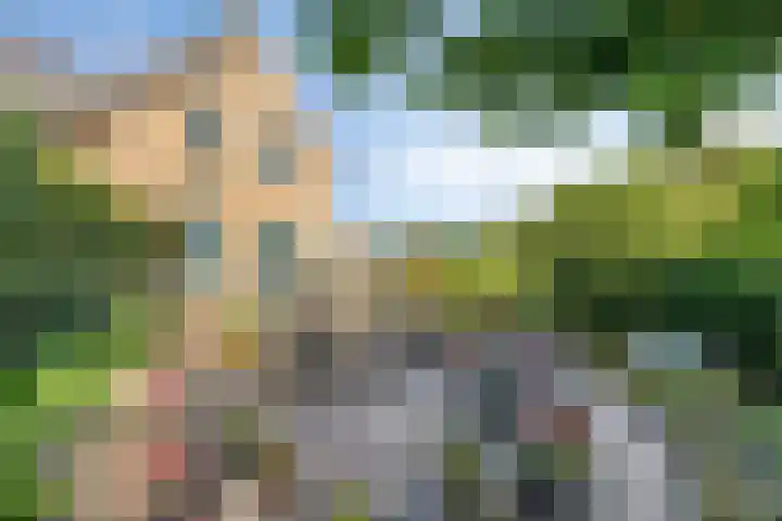 Specht 30 Fijnaart thumbnail 5