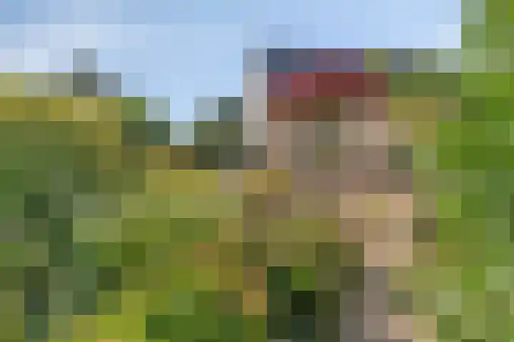 Specht 30 Fijnaart thumbnail 7