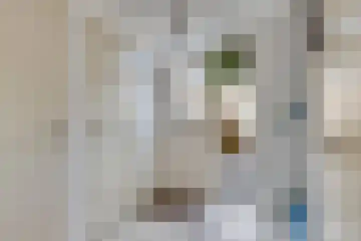 Specht 30 Fijnaart thumbnail 8