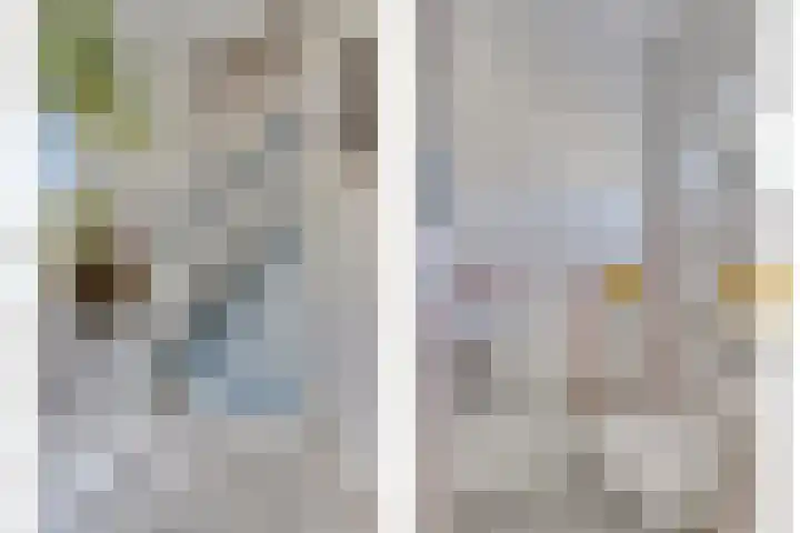 Specht 30 Fijnaart thumbnail 9