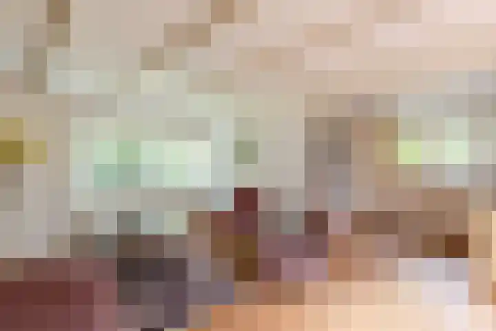 Spechtbos 18 Helvoirt thumbnail 10