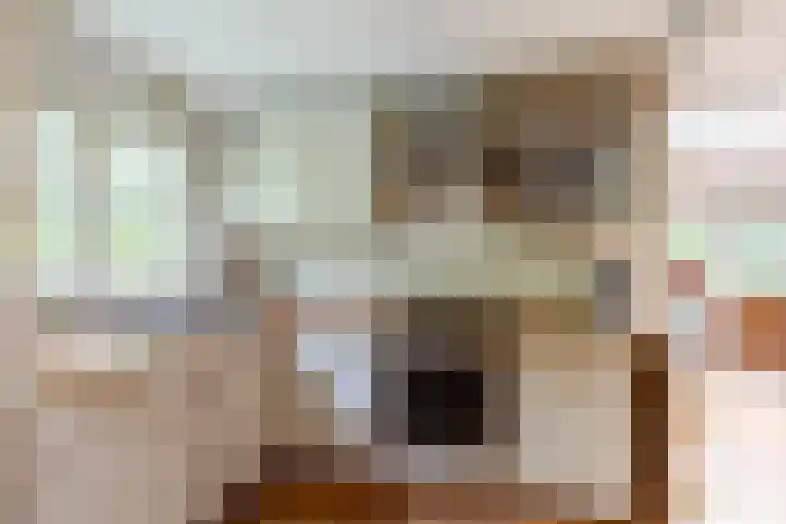 Spechtbos 18 Helvoirt thumbnail 12