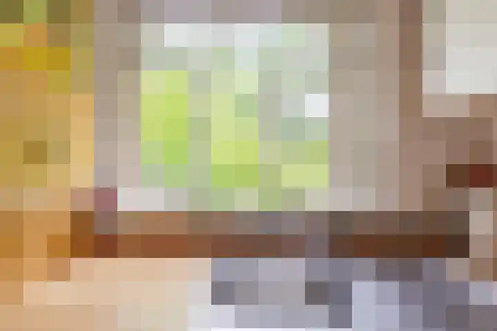 Spechtbos 18 Helvoirt thumbnail 13