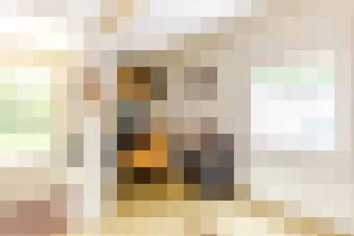 Spechtbos 18 Helvoirt thumbnail 21
