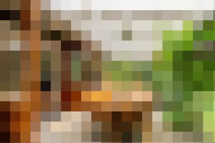 Spechtbos 18 Helvoirt thumbnail 23
