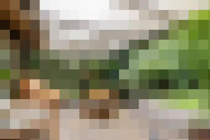 Spechtbos 18 Helvoirt thumbnail 24