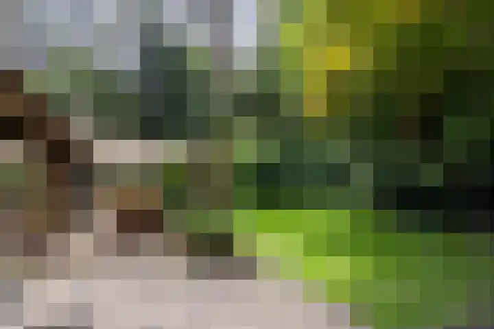 Spechtbos 18 Helvoirt thumbnail 25