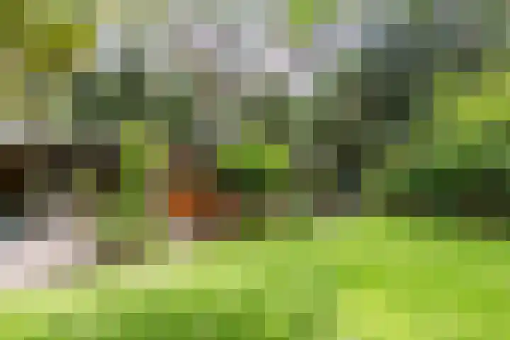 Spechtbos 18 Helvoirt thumbnail 26
