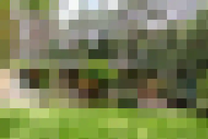 Spechtbos 18 Helvoirt thumbnail 27