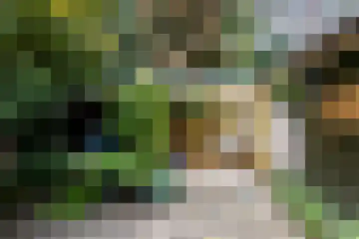 Spechtbos 18 Helvoirt thumbnail 28