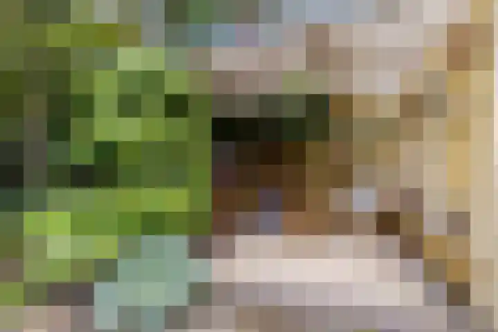 Spechtbos 18 Helvoirt thumbnail 29