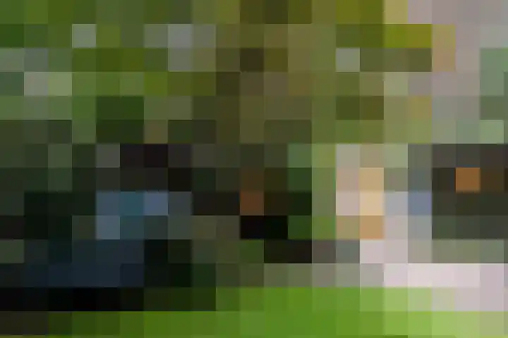 Spechtbos 18 Helvoirt thumbnail 30