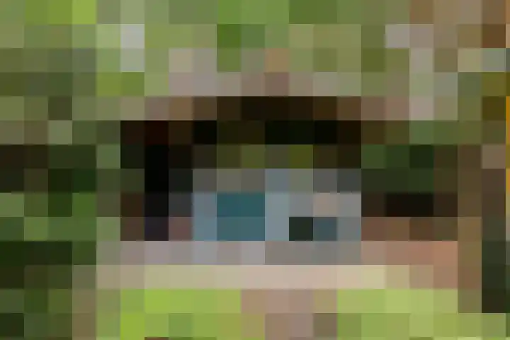 Spechtbos 18 Helvoirt thumbnail 31