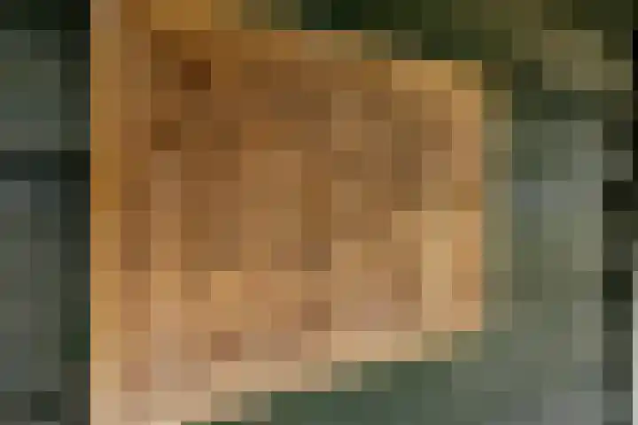 Spechtbos 18 Helvoirt thumbnail 33