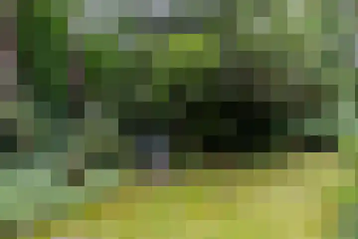 Spechtbos 18 Helvoirt thumbnail 34