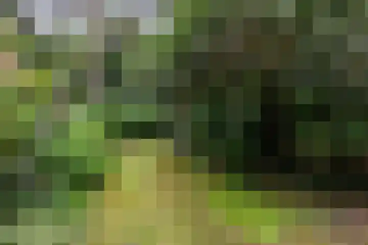 Spechtbos 18 Helvoirt thumbnail 35