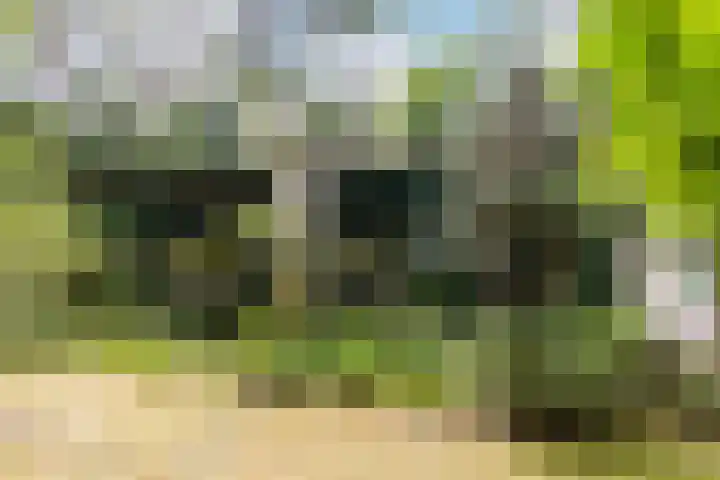 Spechtbos 18 Helvoirt thumbnail 36