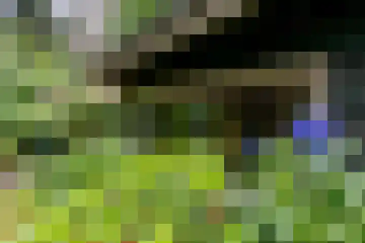 Spechtbos 18 Helvoirt thumbnail 37