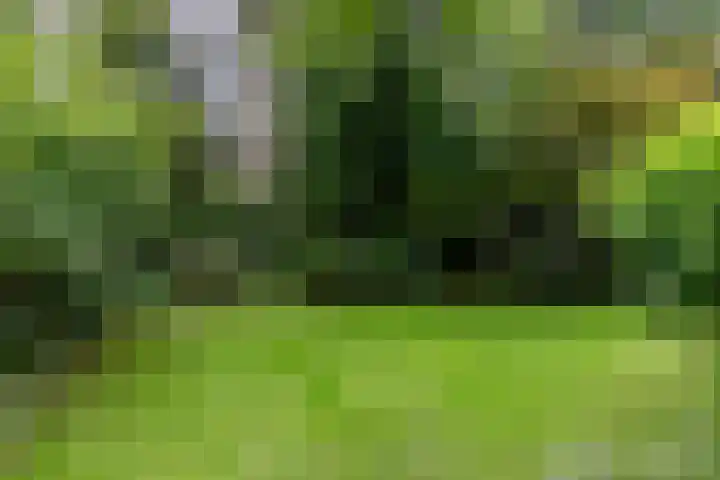 Spechtbos 18 Helvoirt thumbnail 38