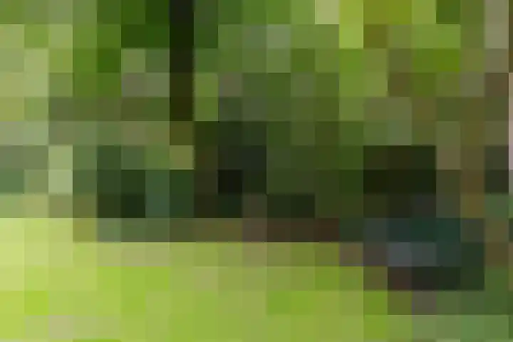 Spechtbos 18 Helvoirt thumbnail 39