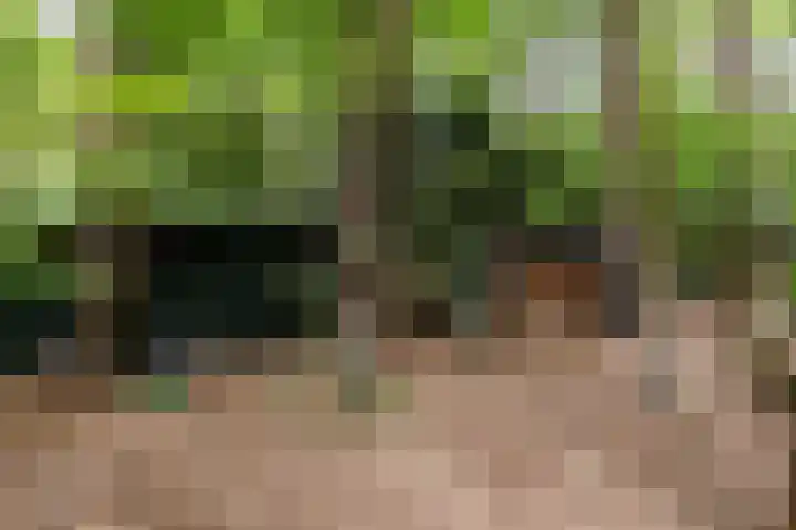 Spechtbos 18 Helvoirt thumbnail 40