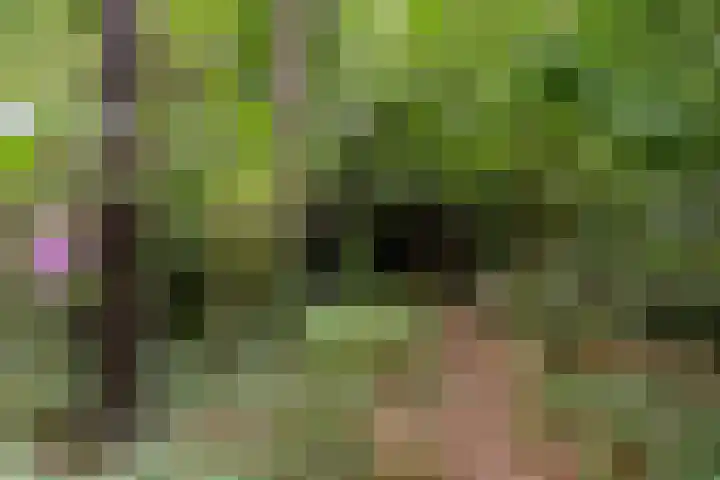 Spechtbos 18 Helvoirt thumbnail 42