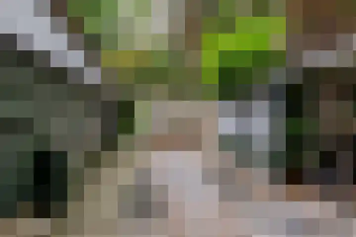 Spechtbos 18 Helvoirt thumbnail 43