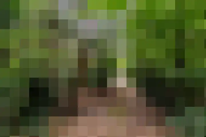 Spechtbos 18 Helvoirt thumbnail 44
