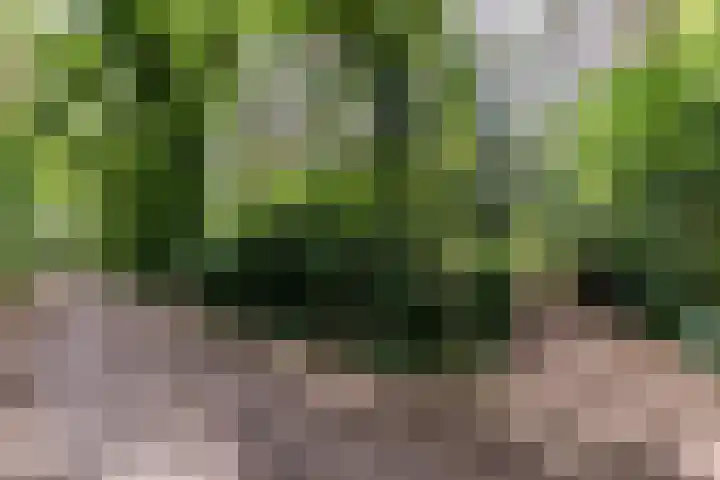 Spechtbos 18 Helvoirt thumbnail 46