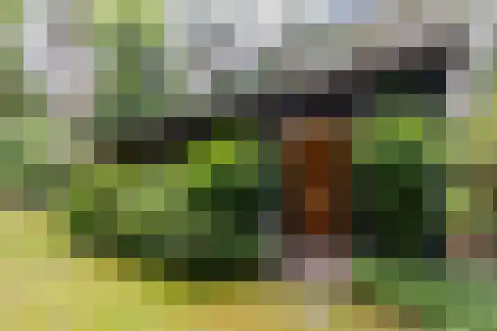 Spechtbos 18 Helvoirt thumbnail 49