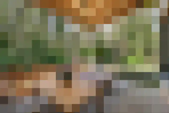 Spechtbos 8 Helvoirt thumbnail 22