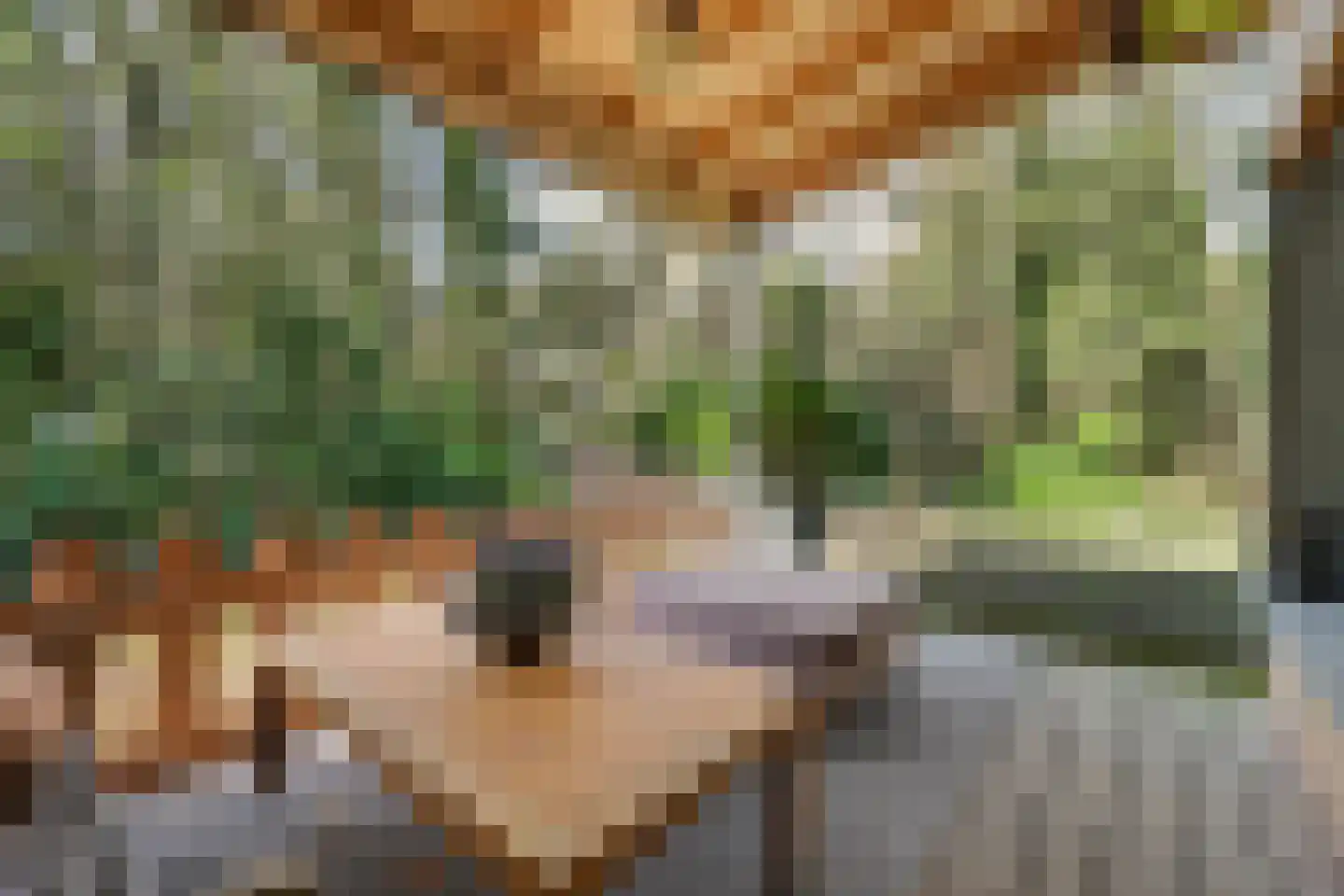 Spechtbos 8 Helvoirt thumbnail 22
