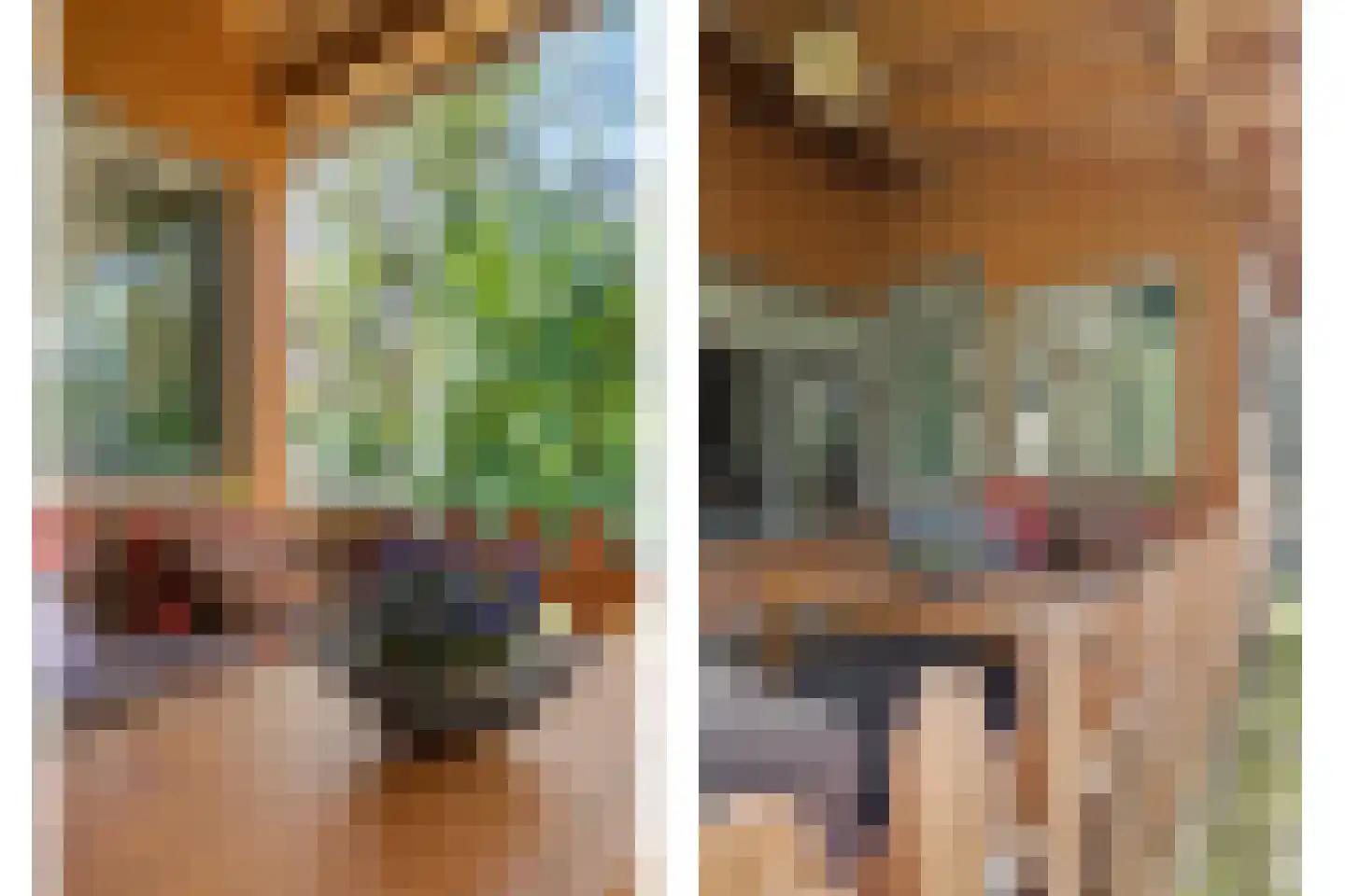 Spechtbos 8 Helvoirt thumbnail 23