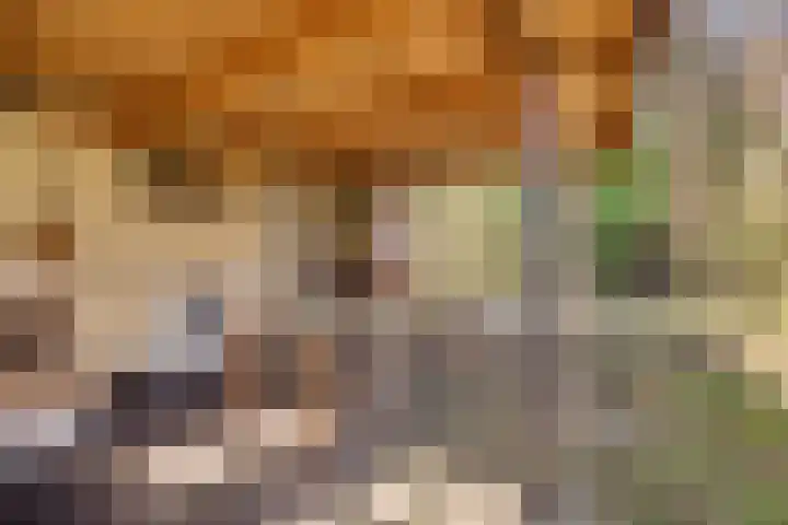 Spechtbos 8 Helvoirt thumbnail 24