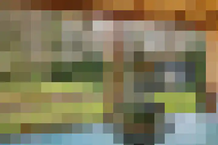 Spechtbos 8 Helvoirt thumbnail 26