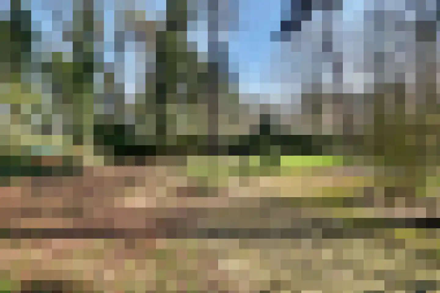 Spechtbos 8 Helvoirt thumbnail 27