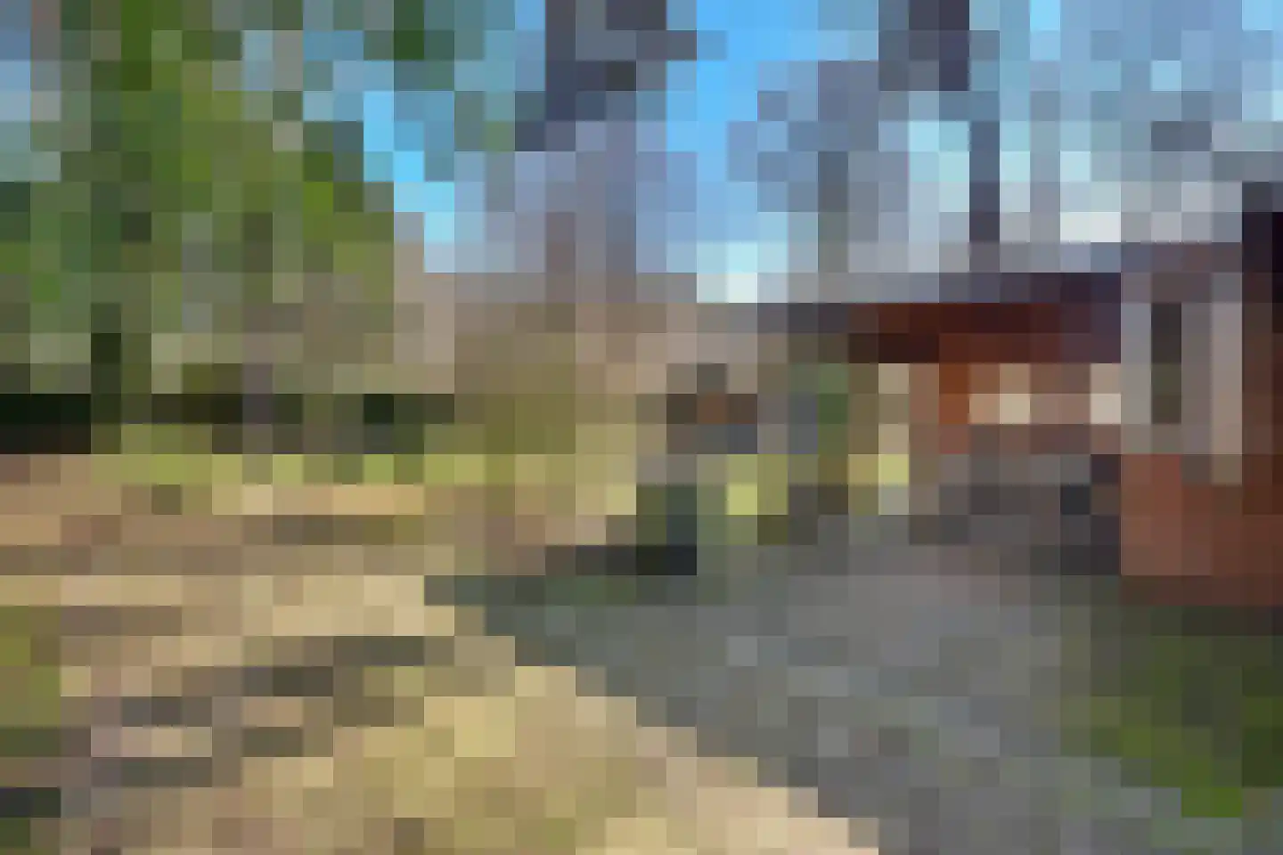 Spechtbos 8 Helvoirt thumbnail 28