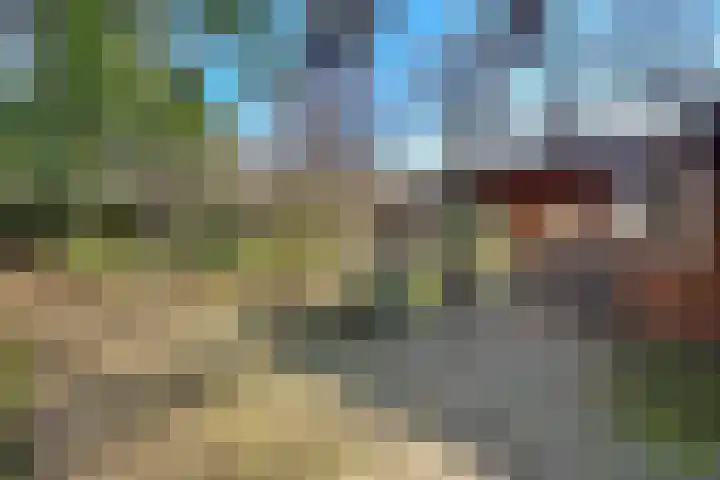 Spechtbos 8 Helvoirt thumbnail 28