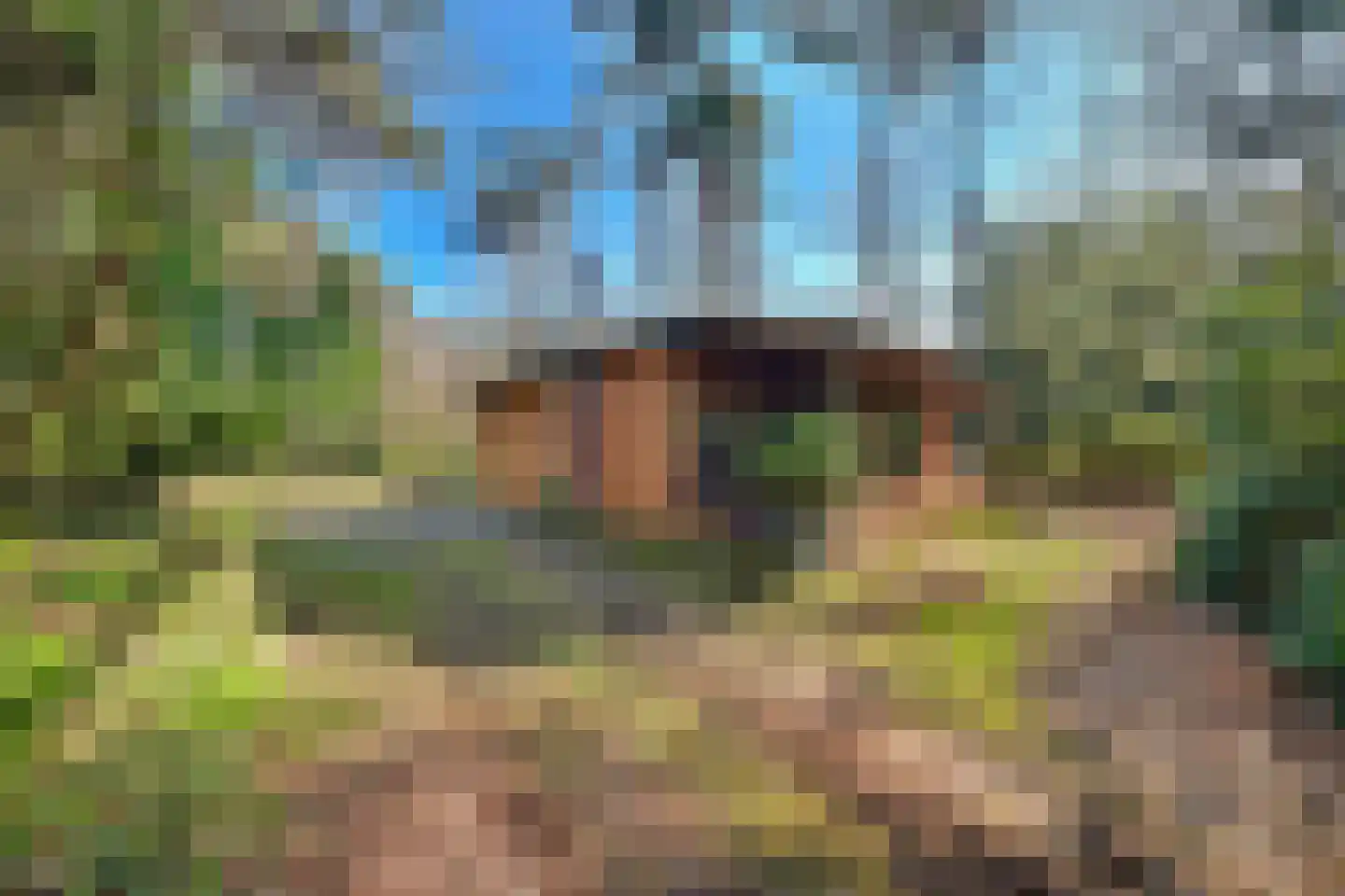 Spechtbos 8 Helvoirt thumbnail 29