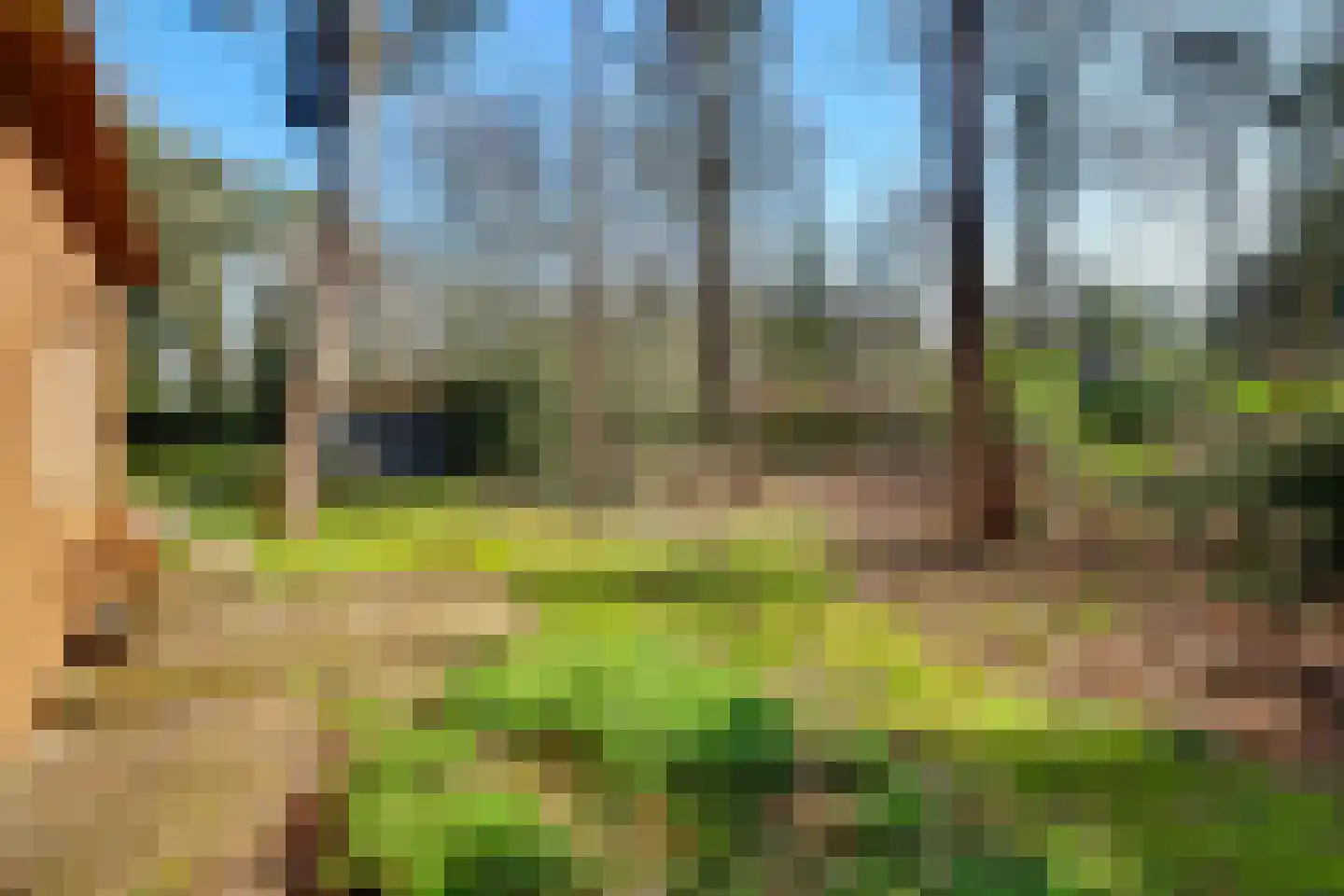 Spechtbos 8 Helvoirt thumbnail 31