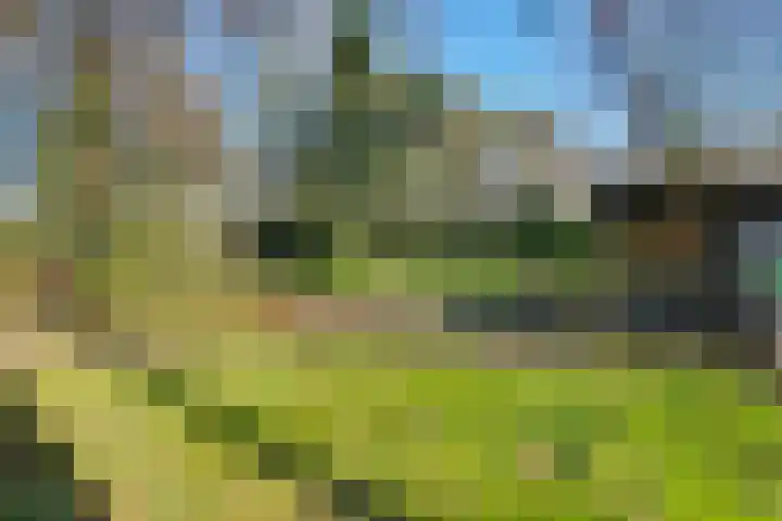 Spechtbos 8 Helvoirt thumbnail 34