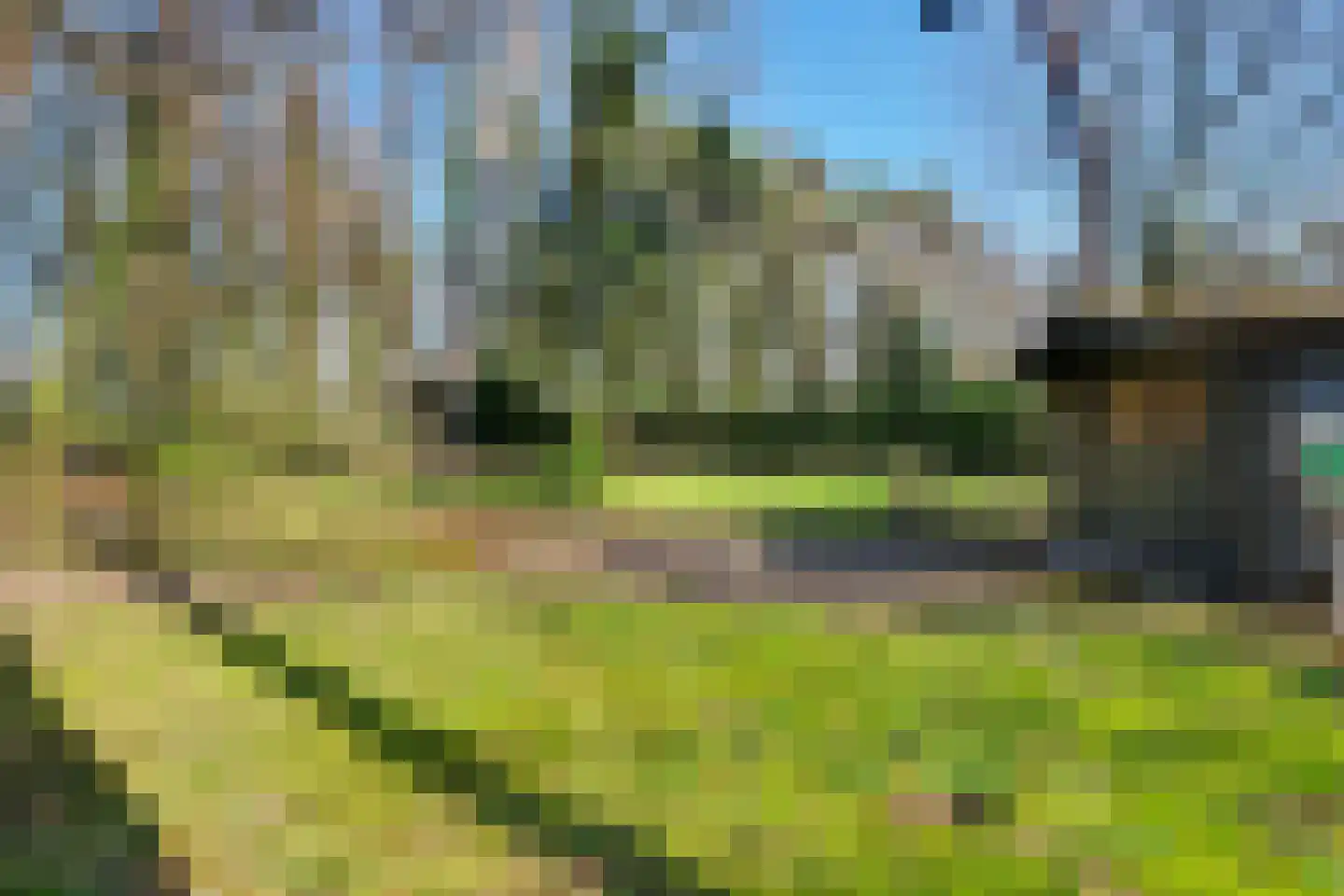 Spechtbos 8 Helvoirt thumbnail 34