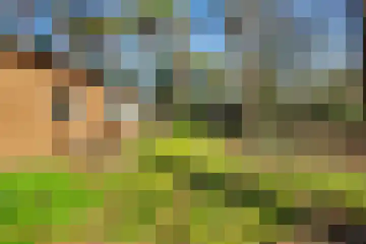 Spechtbos 8 Helvoirt thumbnail 36