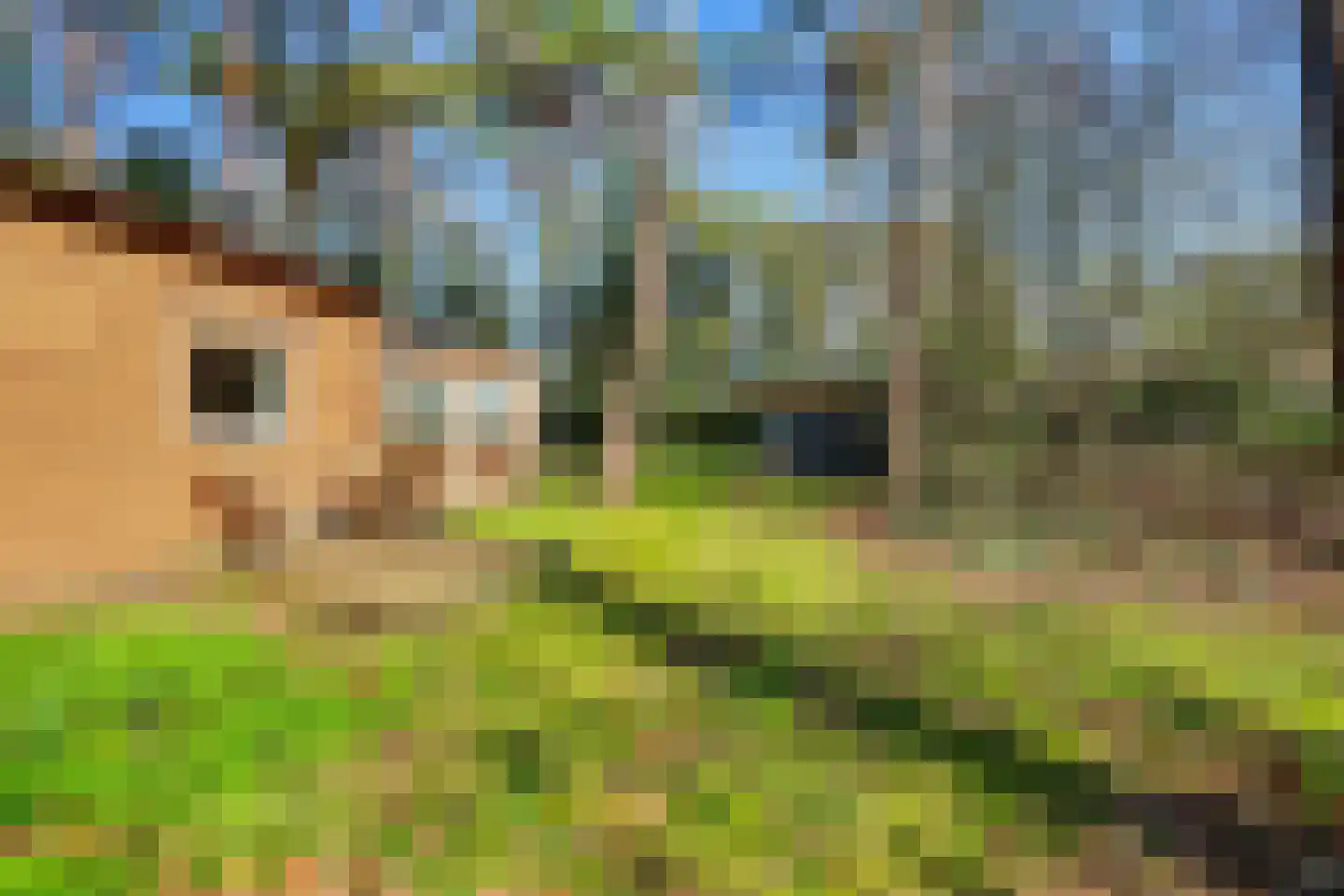 Spechtbos 8 Helvoirt thumbnail 36