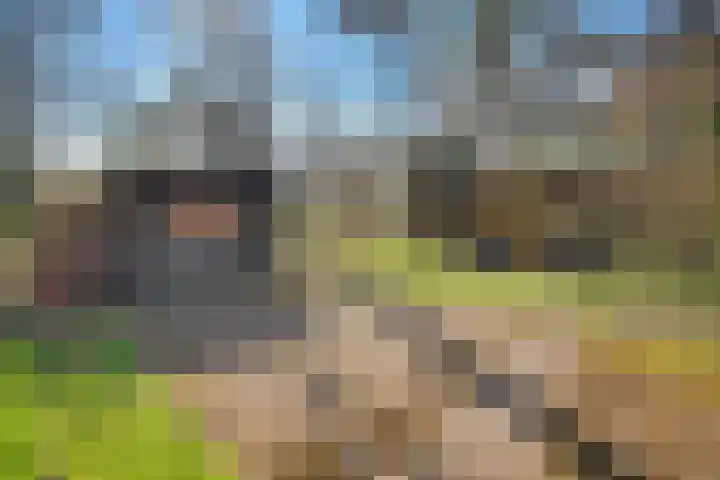 Spechtbos 8 Helvoirt thumbnail 37