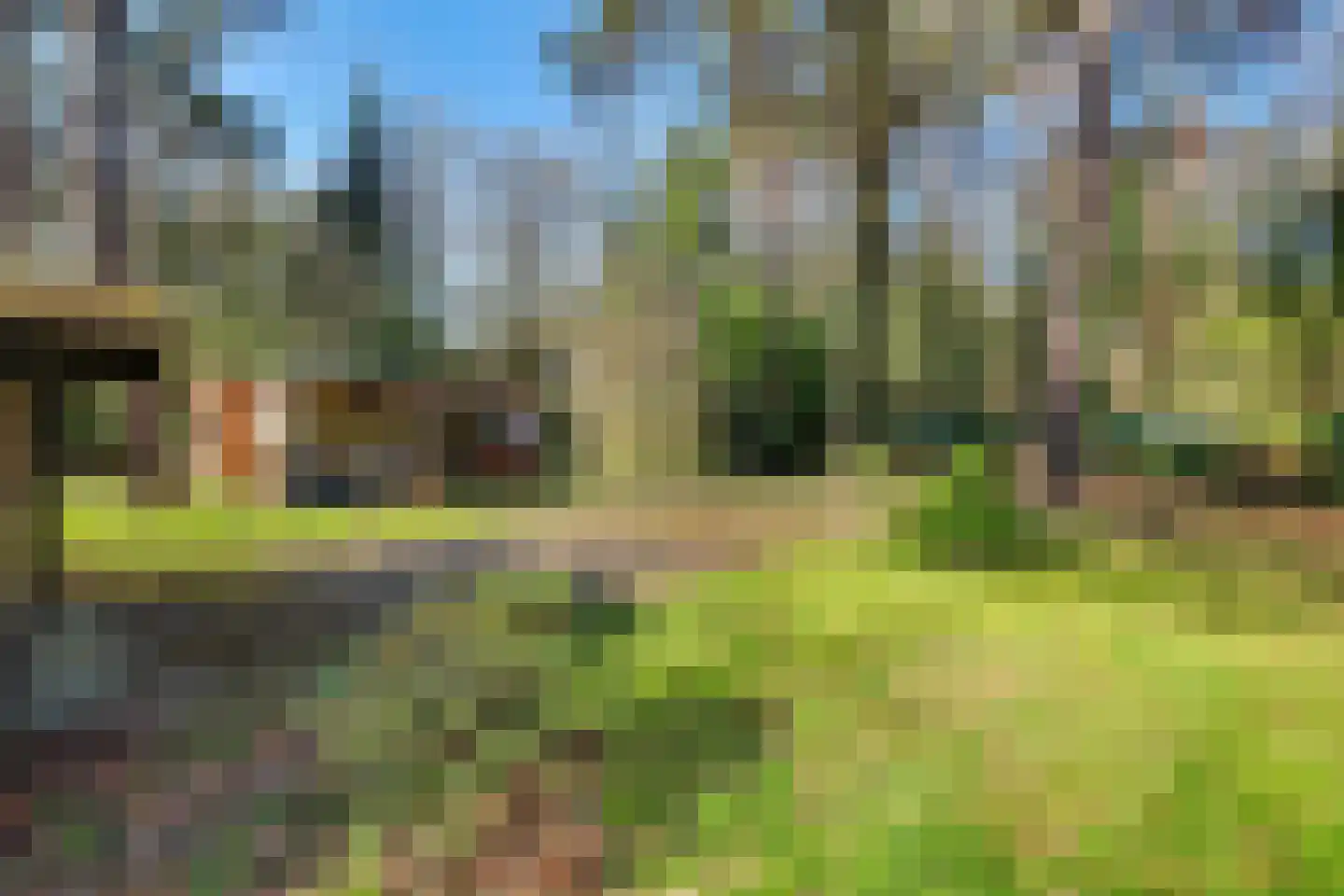 Spechtbos 8 Helvoirt thumbnail 38