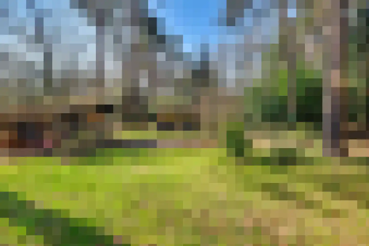 Spechtbos 8 Helvoirt thumbnail 39