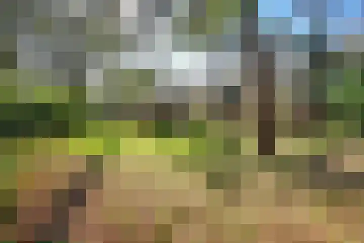 Spechtbos 8 Helvoirt thumbnail 40
