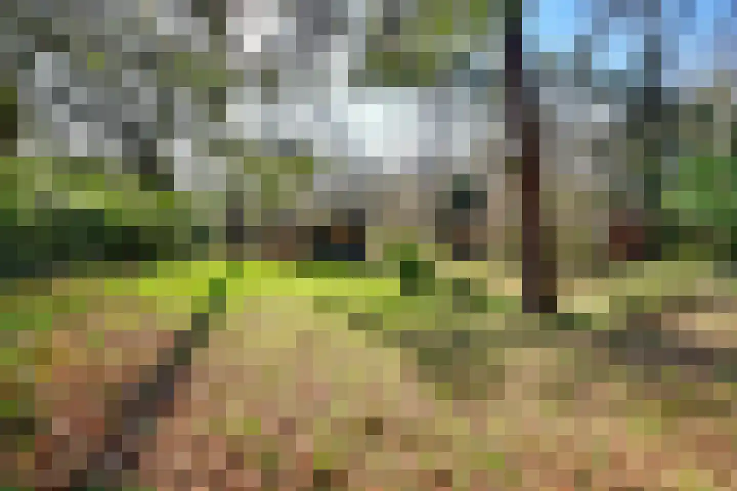 Spechtbos 8 Helvoirt thumbnail 40