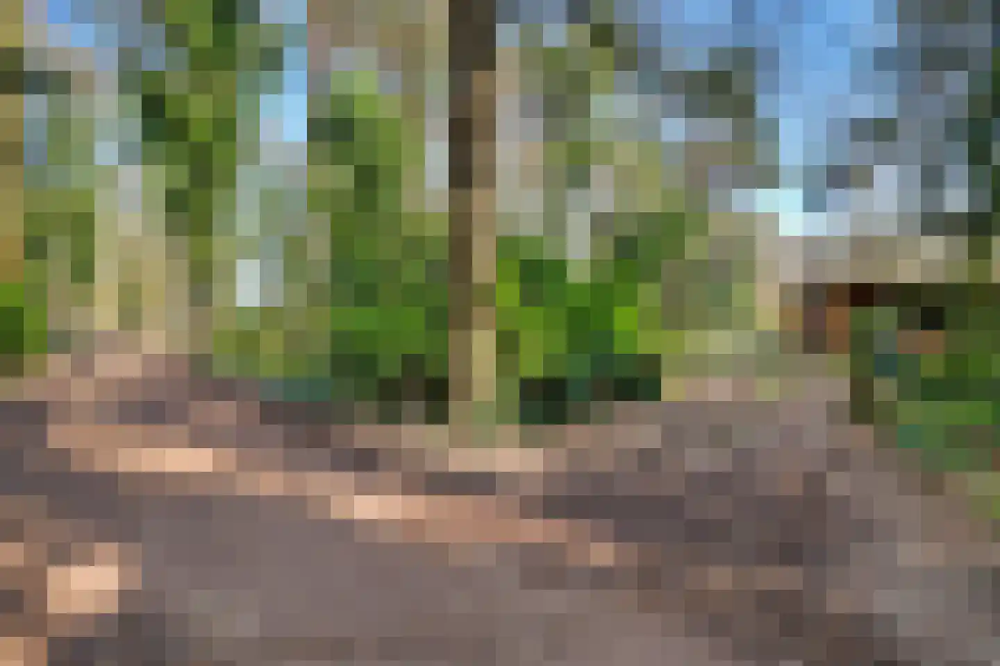 Spechtbos 8 Helvoirt thumbnail 43